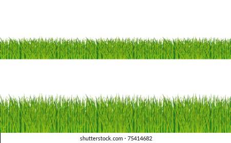 Realistic grass collection. vector backgrounds.