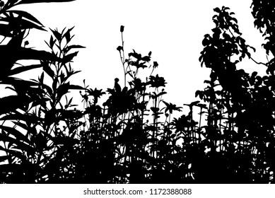 Realistic grass and flower silhouettes (Vector illustration).Eps10