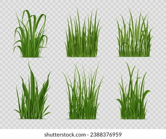 Hierba realista, plantas de campo verde o de césped, naturaleza vectorial. Tubos aislados en 3d y racimos de jardín primaveral, patio trasero o alfombra de pasto pradera con hojas, cuchillas y brotes verdes