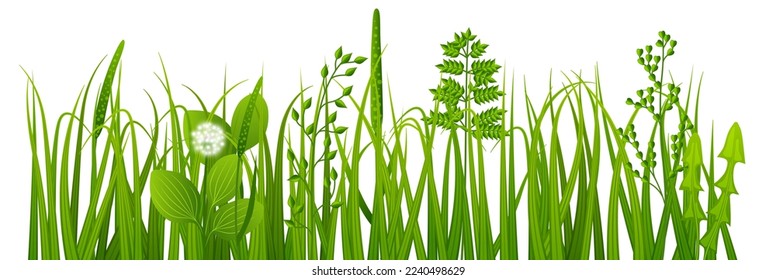 Realistic grass. Green spring weeds. Growing plants