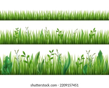 Realistic grass growth. Different stages green plants growing, fresh herbs stripes, lawn borders, garden weeds, broad leaves, horizontal meadow pattern set, 3d elements utter vector concept