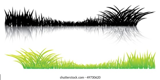 Realistic grass on a white background. Several options for illustration.