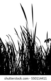 Realistic grass silhouette (Vector illustration).Eps10