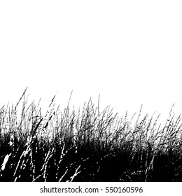 Realistic grass silhouette (Vector illustration).Eps10