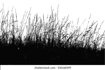 Realistic grass silhouette (Vector illustration).Eps10