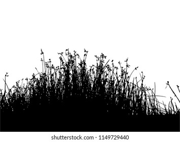 Realistic grass silhouettes (Vector illustration).Eps10