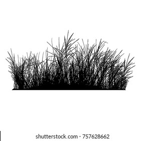 Realistic grass silhouettes (Vector illustration).Eps10