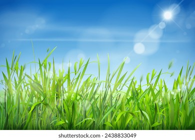 Cielo de hierba realista. Campo verde y paisaje de nubes, césped esponjoso cultivando hierbas del jardín escena del prado del campo, primavera o verano verde eco, ilustración vectorial exacta del campo de hierba del paisaje