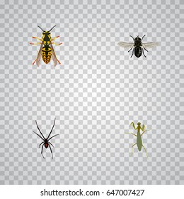 Realistic Grasshopper, Bee, Midge And Other Vector Elements. Set Of Insect Realistic Symbols Also Includes Fly, Spinner, Gnat Objects.
