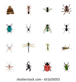 Realistic Grasshopper, Gnat, Emmet And Other Vector Elements. Set Of  Realistic Symbols Also Includes Dor, Alive, Damselfly Objects.