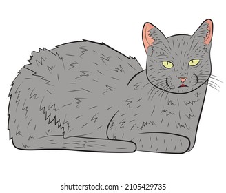 Realistische graue Katze. Vektorgrafik