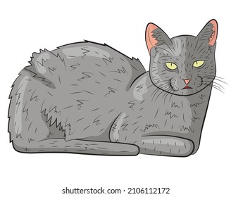 Realistic gray cat. vector illustration
