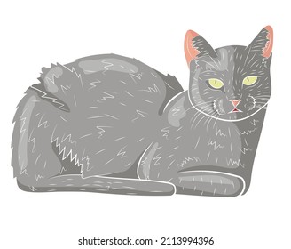 Realistic gray cat. vector illustration