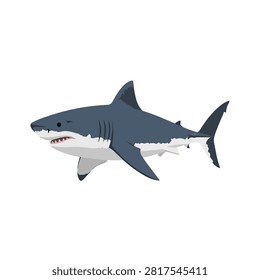 Realistic Great White Shark Vector Illustration Isolated on White Background for Marine Design