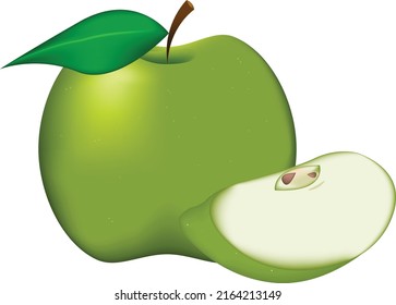 Realistic green apples isolated on white background vector icon art.
