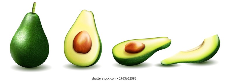 Realistic green avocado for healthy eating. 3D rendering. Whole, slice and halved avocado with bone. Composition of ripe avocado. Vector illustration isolated on white background.