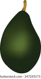 Realistic Green Avocado Vector Illustration 