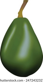 Realistische grüne Avocado-Vektorillustration 