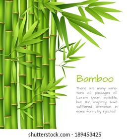 Realistic green bamboo plant grass tree oriental japanese background vector illustration