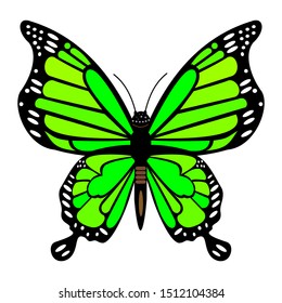 Realistic green butterflies isolated for spring against a white background. editable vector illustration