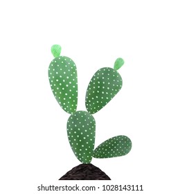 Realistic green cactus growing from the ground. Vector eps10.