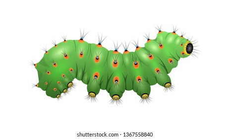 Realistic green Caterpillar isolated on a white background, side view. Horizontal vector illustration