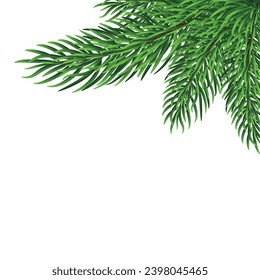 Realistic green Christmas tree branches isolated on transparent background. Vector illustration