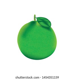 Realistic green citrus vector image