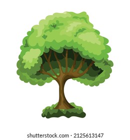Realistic green deciduous tree isolated on white background - Vector illustration