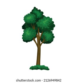 Realistic green deciduous tree isolated on white background - Vector illustration