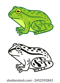 Realistic green frog drawing and black and white icon. Cartoon vector clip art illustration.