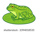Realistic green frog drawing sitting on lily pad. Cartoon vector clip art illustration.
