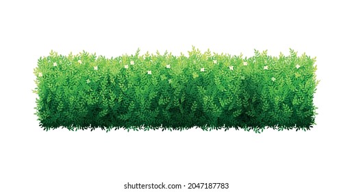 Realistic green garden bush fence on white background vector illustration