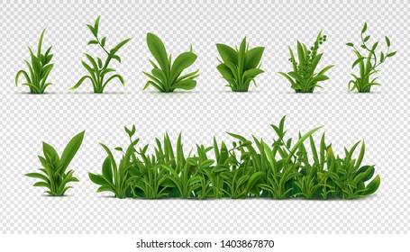 Realistic green grass. 3D fresh spring plants, different herbs and bushes for posters and advertisement. Vector set isolated objects on white