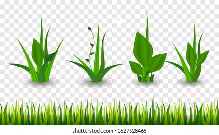 Realistic Green grass. 3D fresh spring plants. Different herbs and bushes.