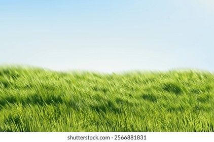 Realistic Green Grass Blue Sky Spring Nature Landscape. Nature Landscape Meadow Background. Vector Illustration EPS10