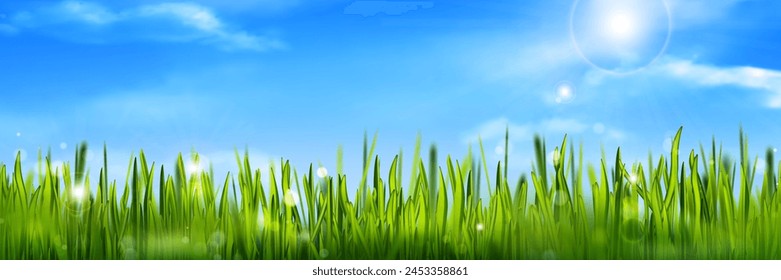 Realistic green grass and blue sunny sky landscape background. Summer lawn morning horizon. Outdoor nature environment banner design. Beautiful grassland valley and sunshine horizontal wallpaper