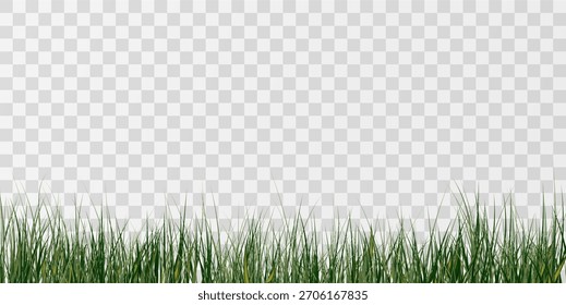 Borda de grama verde realista isolada em fundo transparente. Borda fresca do gramado, faixa de grama natural, textura do campo de verão. Ilustração vetorial perfeita para design ecológico.