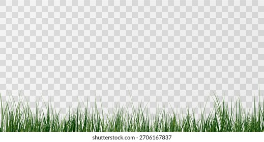 Borda de grama verde realista isolada em fundo transparente. Borda fresca do gramado, faixa de grama natural, textura do campo de verão. Ilustração vetorial perfeita para design ecológico.