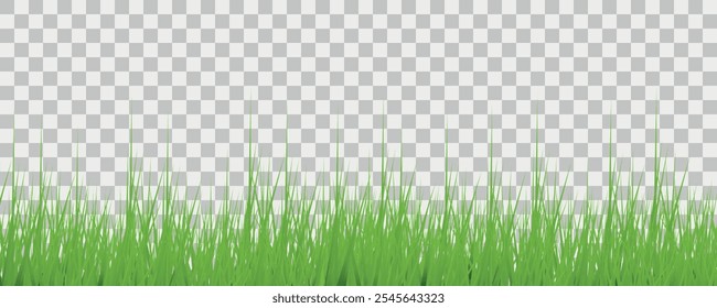  realistische grüne Graseinfassung transparenter Hintergrund, frische Rasenklingen einzeln, natürliche Landschaft Dekorationselement für Design und Präsentationen