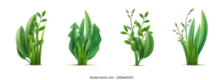 Realistic green grass bouquets. Fresh greenery compositions, garden herbs and leaves combinations, meadows natural mixing plants, organic gardening 3d isolated decor objects utter vector set