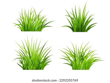 Realistic green grass. Bushes of fresh greens. Spring meadow. Summer lawn. Glade with plants. Nature landscape vector illustration.