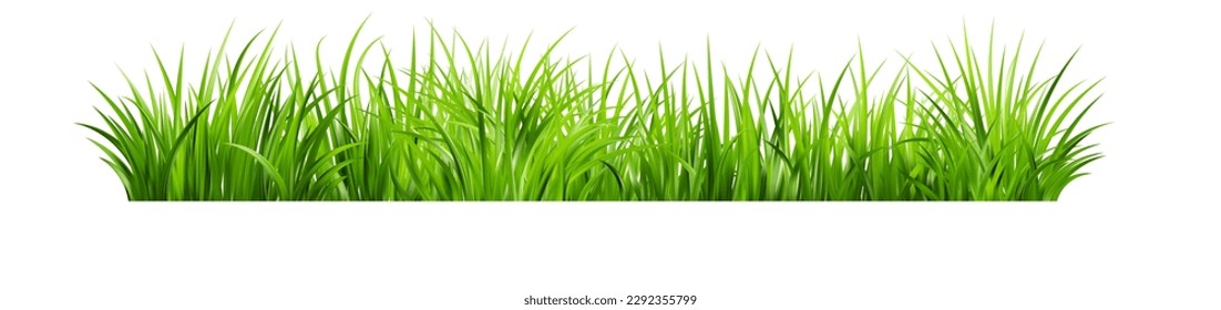 Realistic green grass. Bushes of fresh greens. Spring meadow. Summer lawn. Glade with plants. Nature landscape vector illustration.