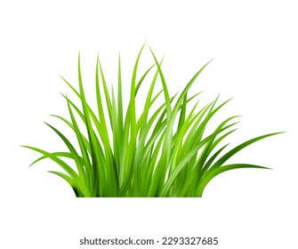 Realistic green grass. Bushes of fresh greens. Spring meadow. Summer lawn. Glade with plants. Nature landscape vector illustration.