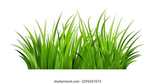Realistic green grass. Bushes of fresh greens. Spring meadow. Summer lawn. Glade with plants. Nature landscape vector illustration.