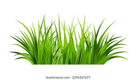 Realistic green grass. Bushes of fresh greens. Spring meadow. Summer lawn. Glade with plants. Nature landscape vector illustration.