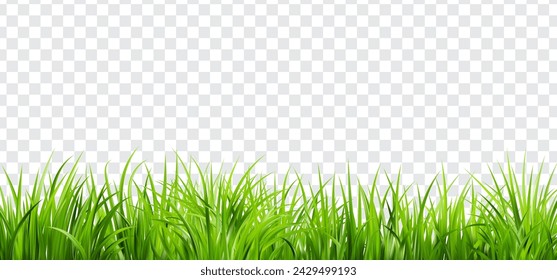 Realistic green grass. Bushes of fresh greens. Spring meadow. Summer lawn. Glade with plants. Nature landscape vector illustration.