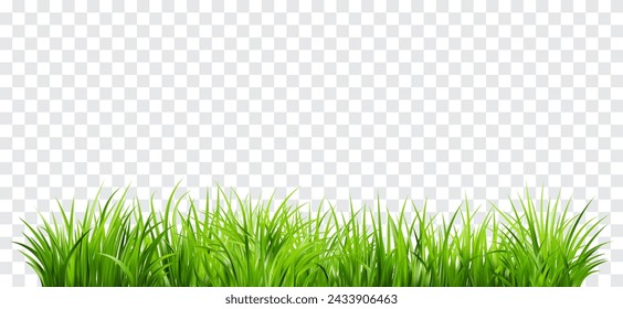 Realistic green grass. Bushes of fresh greens. Spring meadow. Summer lawn. Glade with plants. Nature landscape vector illustration.