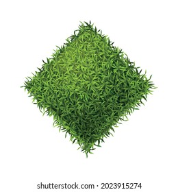 Realistic green grass form composition with isolated piece of diamond shaped grass lawn vector illustration