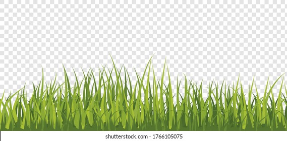 Realistic green grass lawn, border or meadow on transparent background. vector illustration.